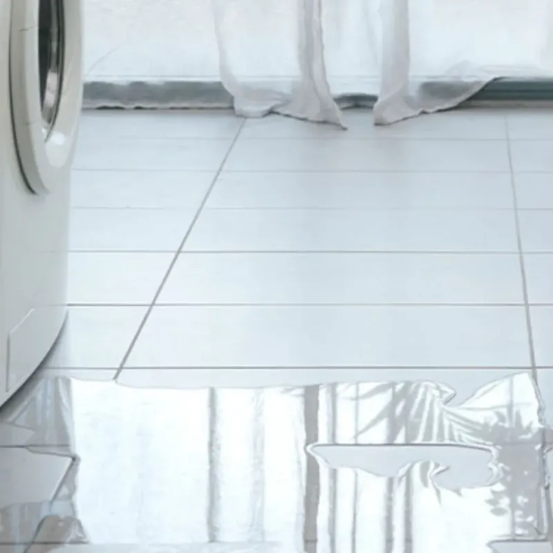 Appliance Leak Cleanup in Charleston, MO