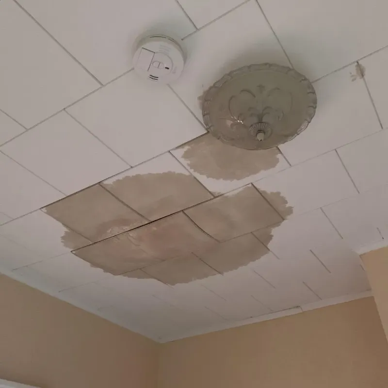 Ceiling Water Damage Repair in Charleston, MO