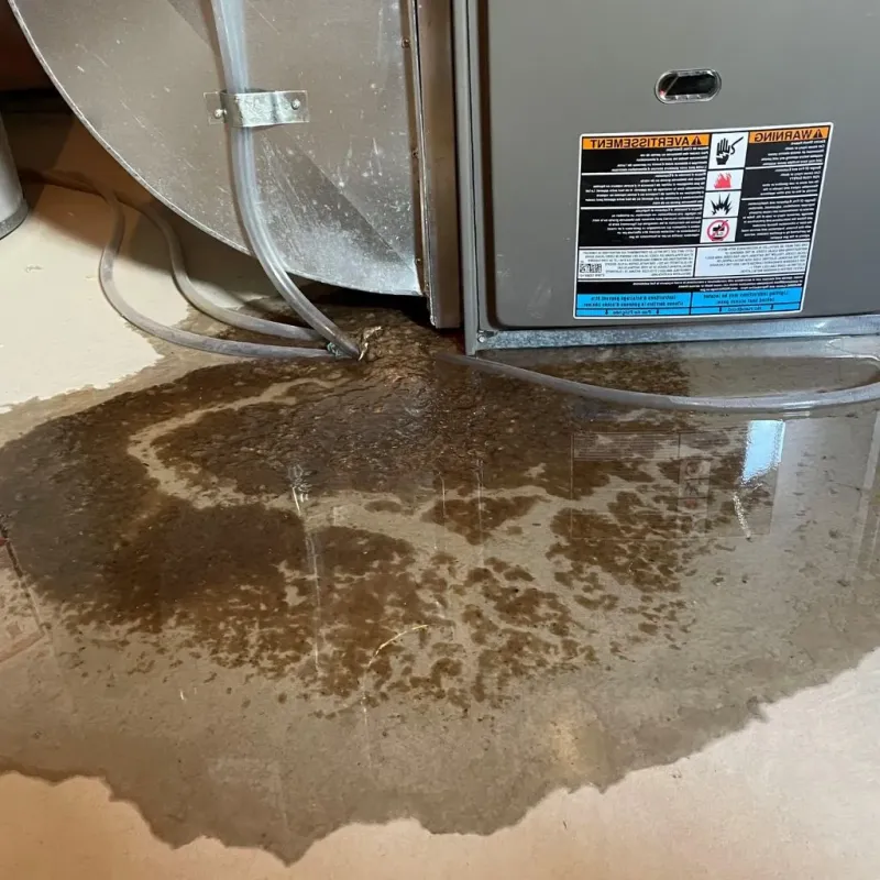 Pipe Burst and Leak Restoration in Charleston, MO