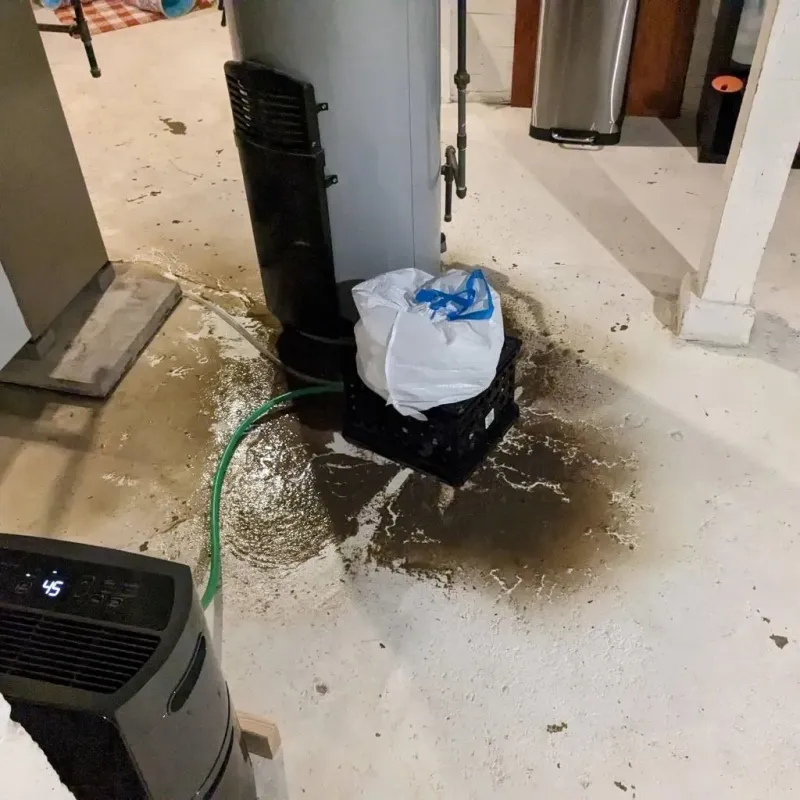 Sewage Backup Cleanup Service in Charleston, MO